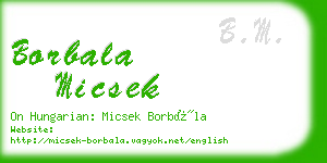 borbala micsek business card